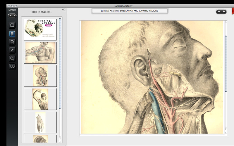 Surgical Anatomy - Premium Edition 1.0 : Surgical Anatomy - Premium Edition screenshot