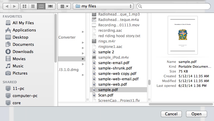 PDF to Word Converter 3.1 : Selecting Input Files