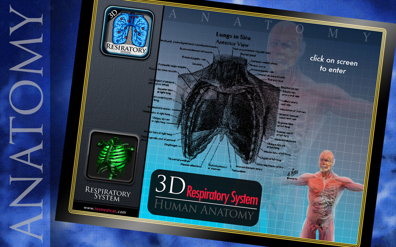 3D Respiratory System Pns 1.0 : Main window