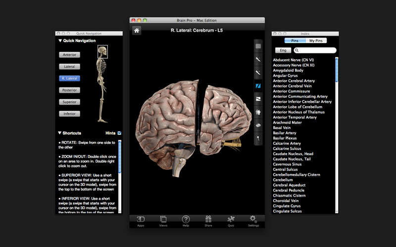 Brain Pro 1.0 : Brain Pro screenshot