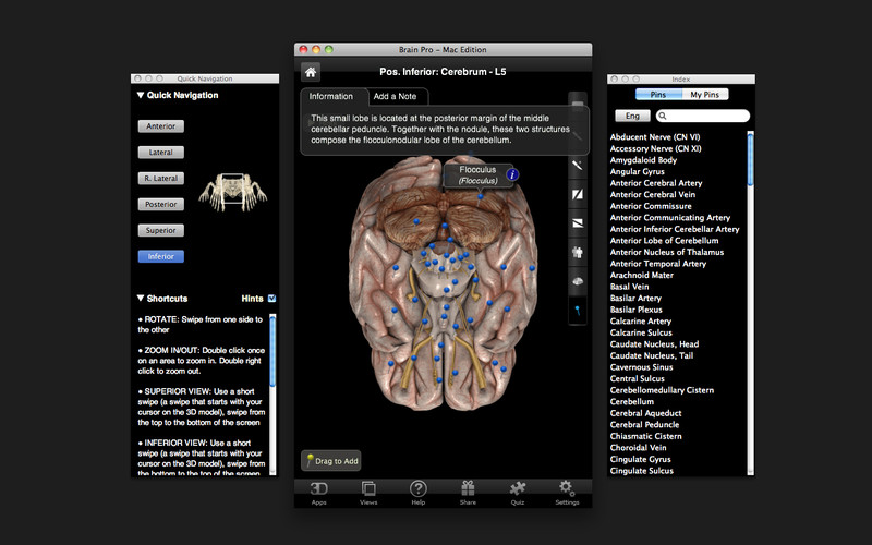Brain Pro 1.0 : Brain Pro screenshot
