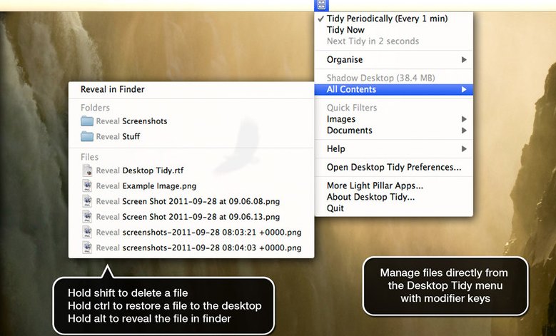 Desktop Tidy 1.0 : Main window