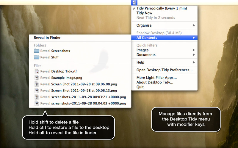 Desktop Tidy 1.0 : Desktop Tidy screenshot