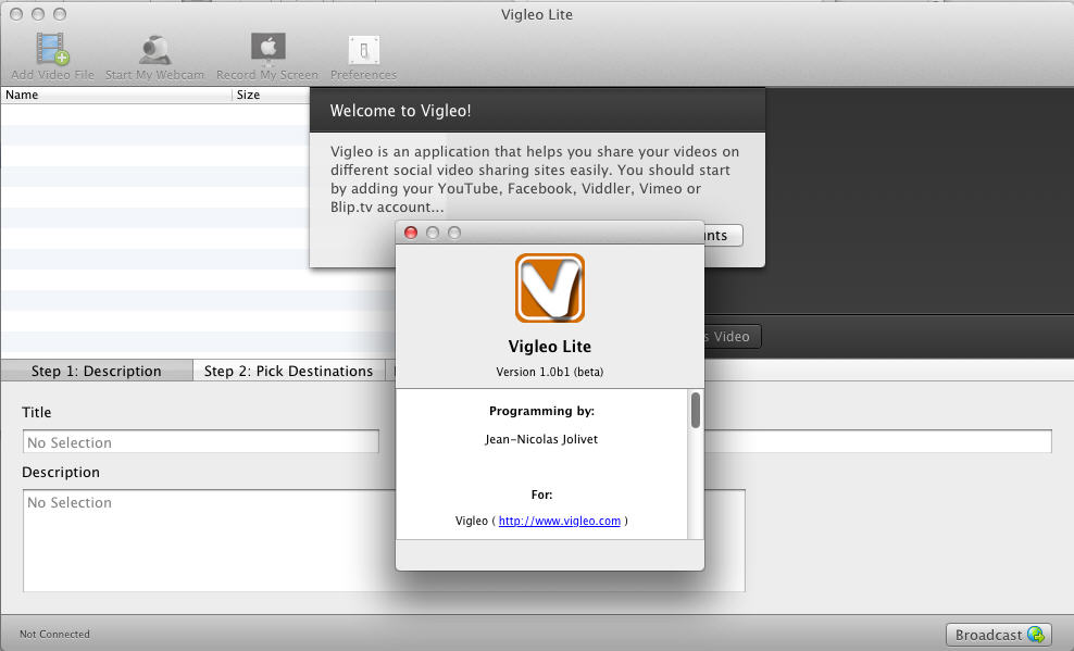 Vigleo Lite 1.0 beta : Main Window