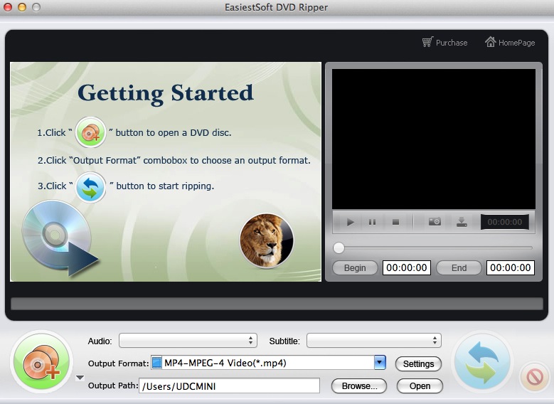 EasiestSoft DVD Ripper 1.0 : Main window
