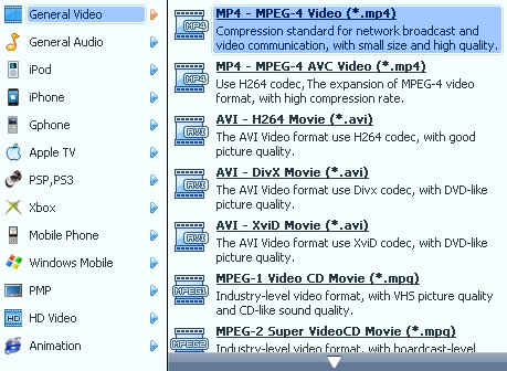 EasiestSoft DVD Ripper 1.0 : Formats