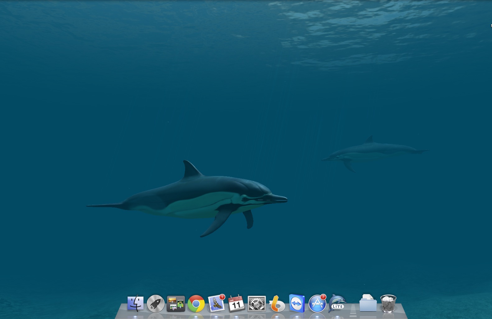 Dolphins 3D Lite 1.1 : Dolphin