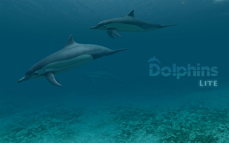 Dolphins 3D Lite 1.1 : Dolphins 3D Lite screenshot