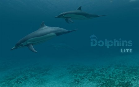 Dolphins 3D Lite screenshot