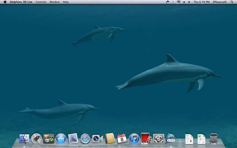Dolphins 3D Lite 1.1 : Dolphins 3D Lite screenshot