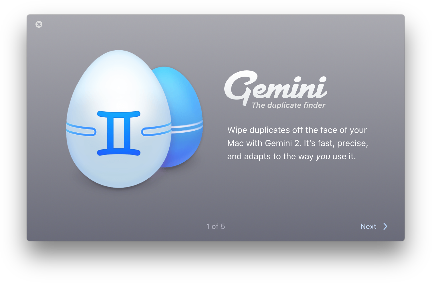 Gemini 2: The Duplicate Finder 2.0 : Gemini 2 Intro Tutorial