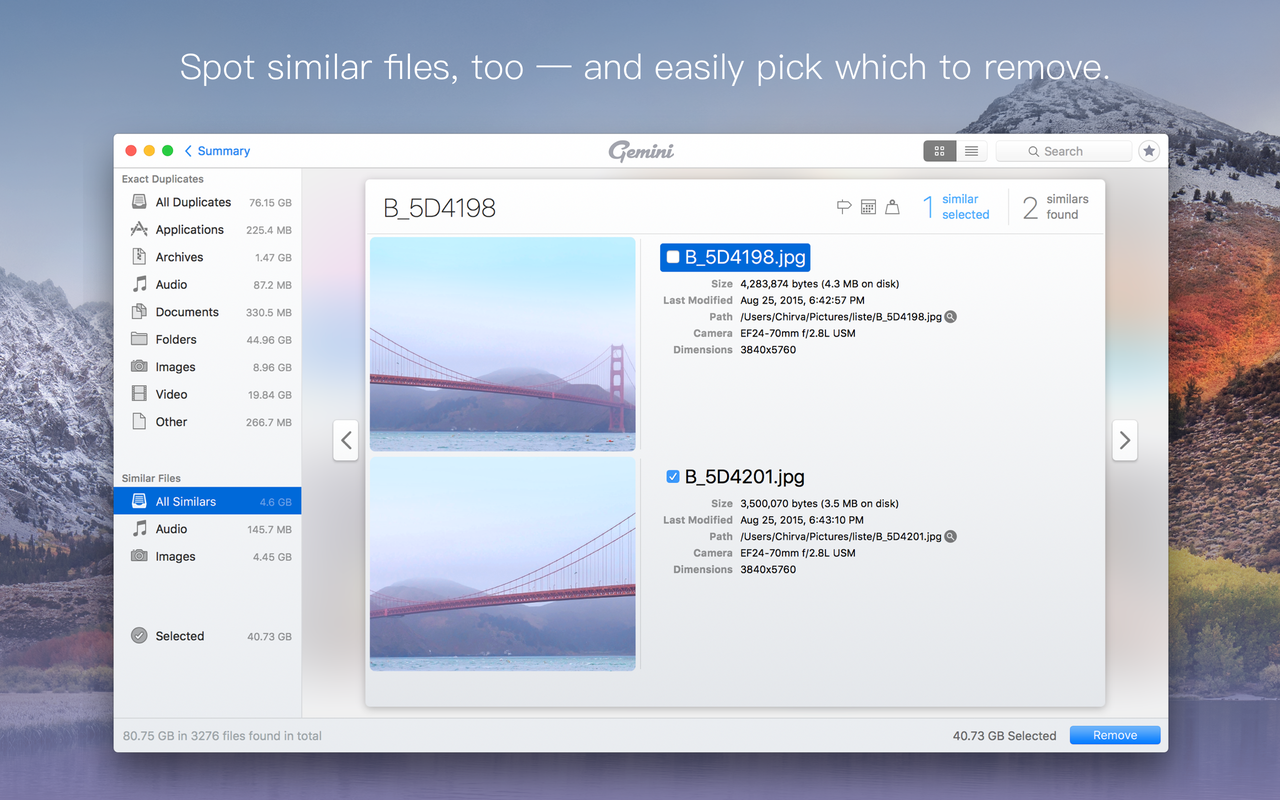 mac duplicate file finder gemini