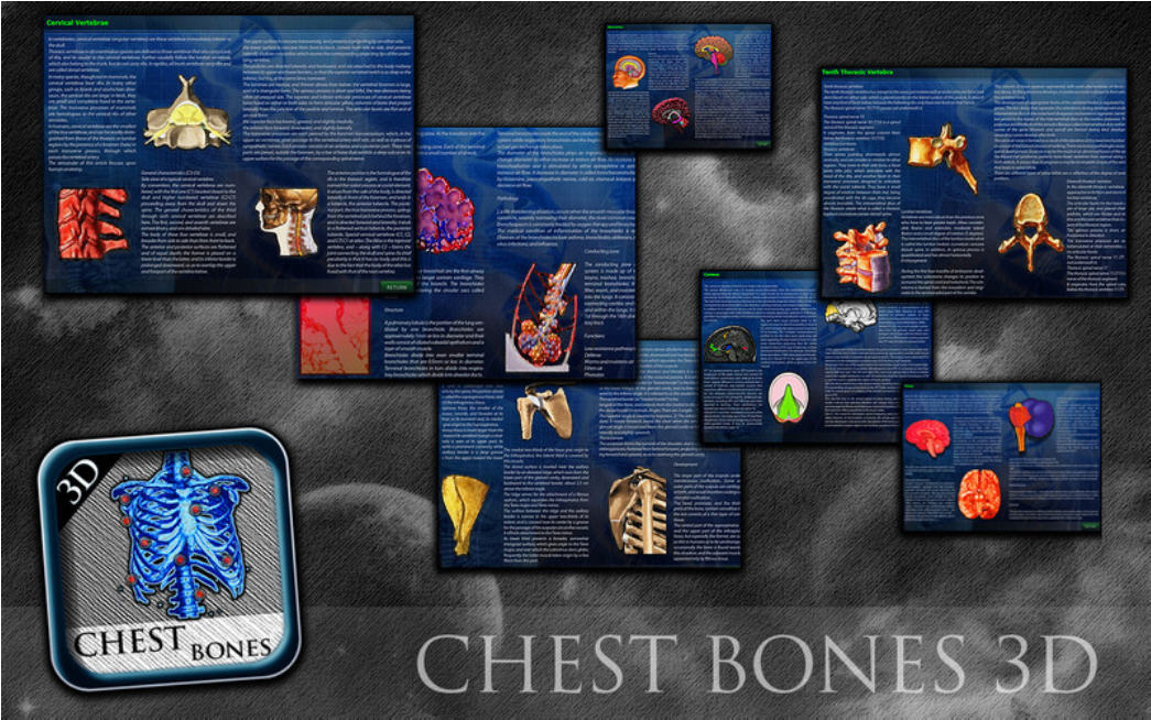 3D Chest Bones 1.0 : Main Window