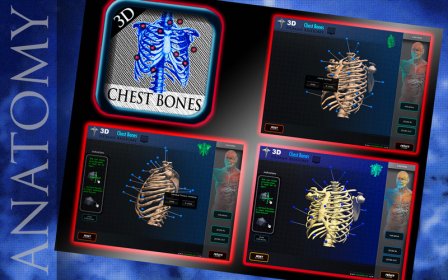 3D Chest Bones screenshot