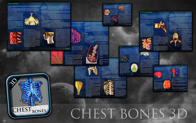 3D Chest Bones 1.0 : 3D Chest Bones screenshot
