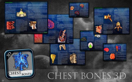 3D Chest Bones screenshot