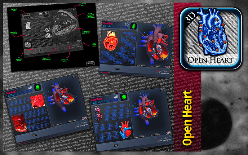 Open Heart 3D 1.0 : Open Heart 3D screenshot