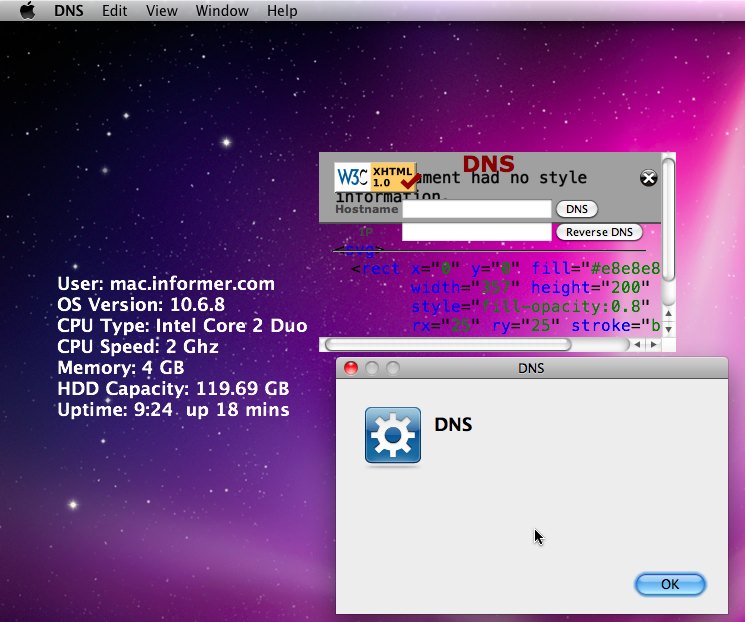 DNS 1.0 : Main Interface