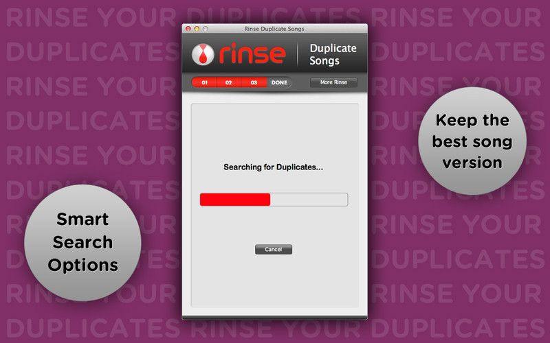 Rinse Duplicate Songs 1.0 : Rinse Duplicate Songs screenshot
