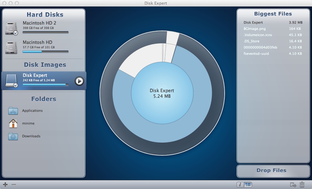 Disk Expert 1.0 : Checking Biggest Files