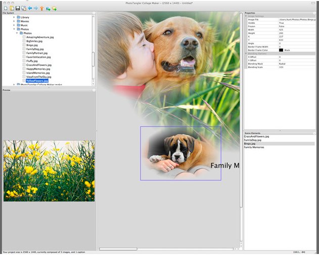 PhotoTangler Collage Maker 1.0 : Main Interface