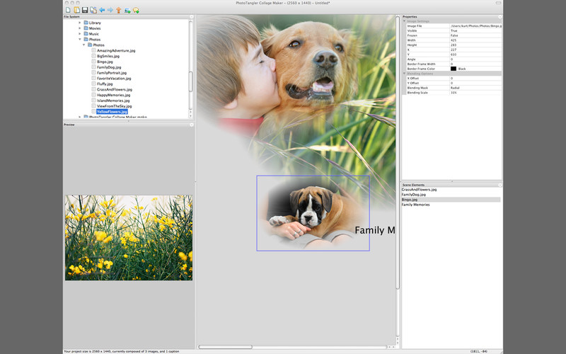 PhotoTangler Collage Maker 1.0 : PhotoTangler Collage Maker screenshot