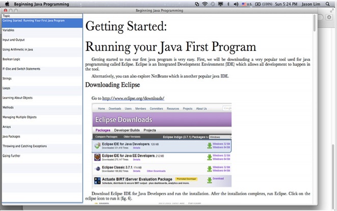 Beginning Java Programming 3.0 : General view