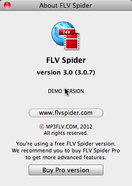 FLV Spider 3.0 : About window