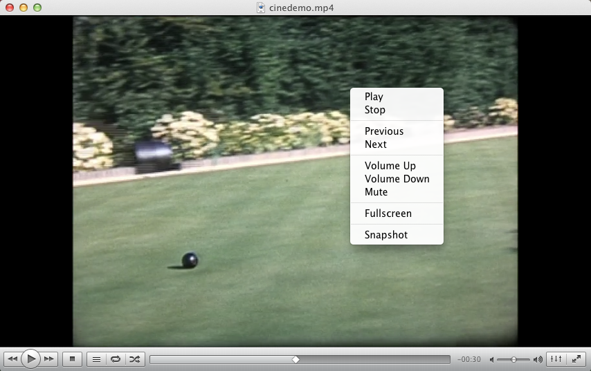 VLC media player 2.0 : Options While Video Playback