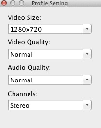 RipToo HD Video Converter 3.1 : Profile settings