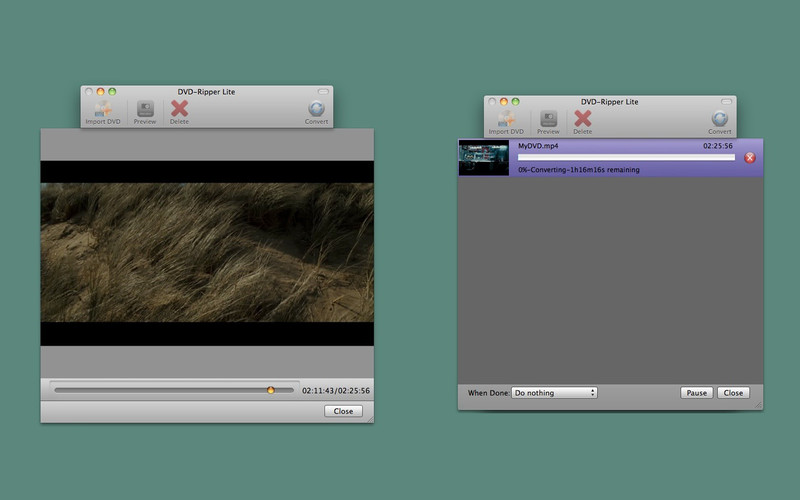 DVD-Ripper Lite 1.0 : DVD-Ripper Lite screenshot