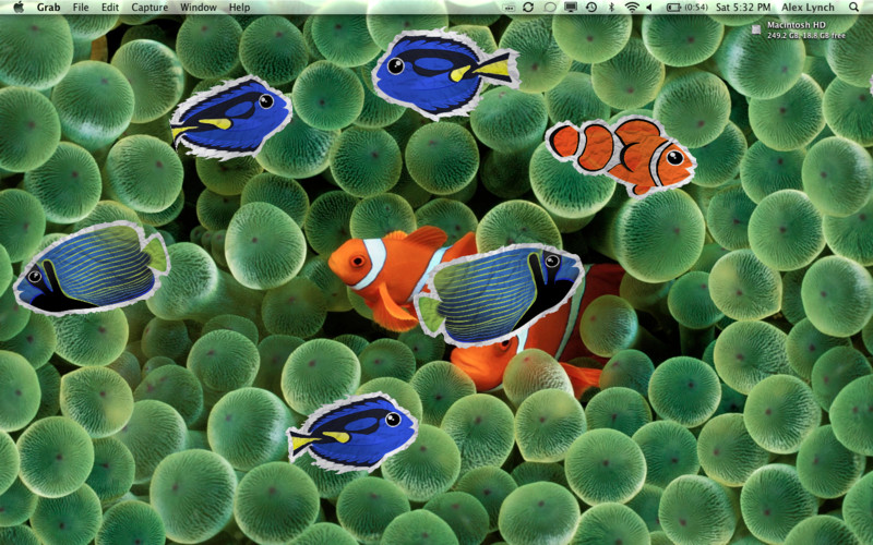 Paper Fish 1.0 : Paper Fish screenshot