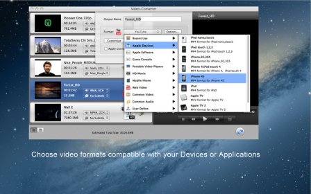 Video-Converter screenshot