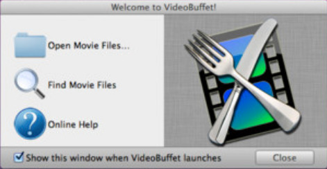 VideoBuffet 1.0 : Main window