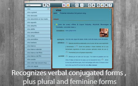 Unabridged Dictionary screenshot