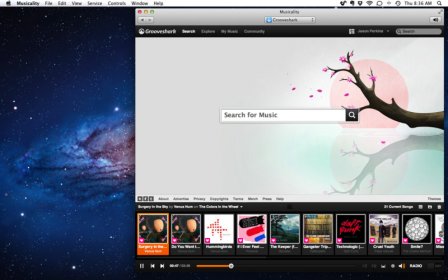 Musicality - Last.fm, Grooveshark and more! screenshot