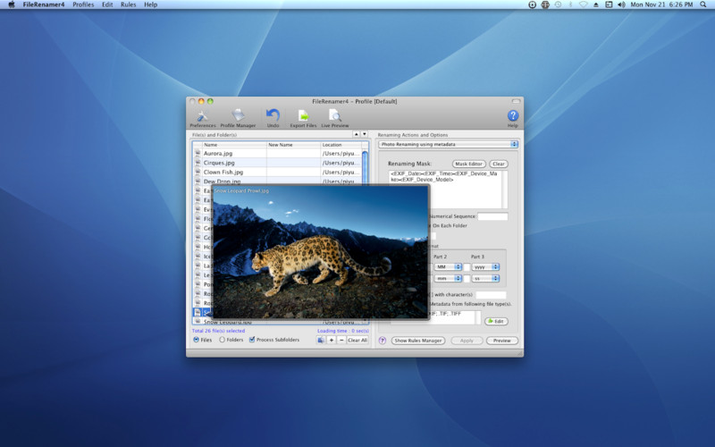 File Renamer Lite 4.1 : File Renamer Lite screenshot