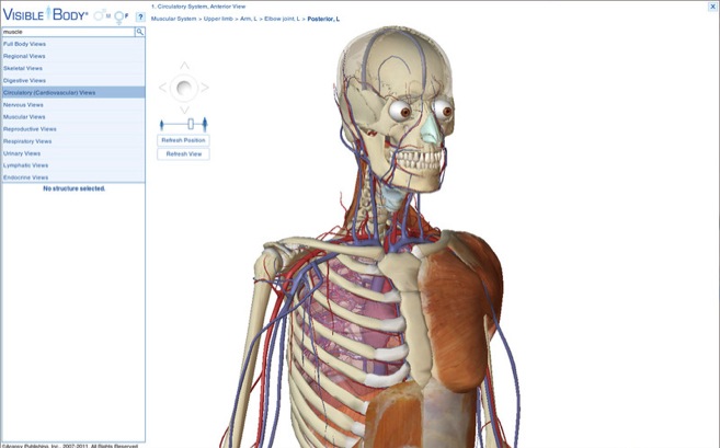 Visible Body 3D Human Anatomy Atlas 1.0 : General view