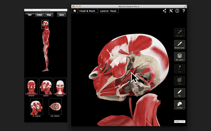 MuscleProII 3.0 : Muscle System Pro III screenshot