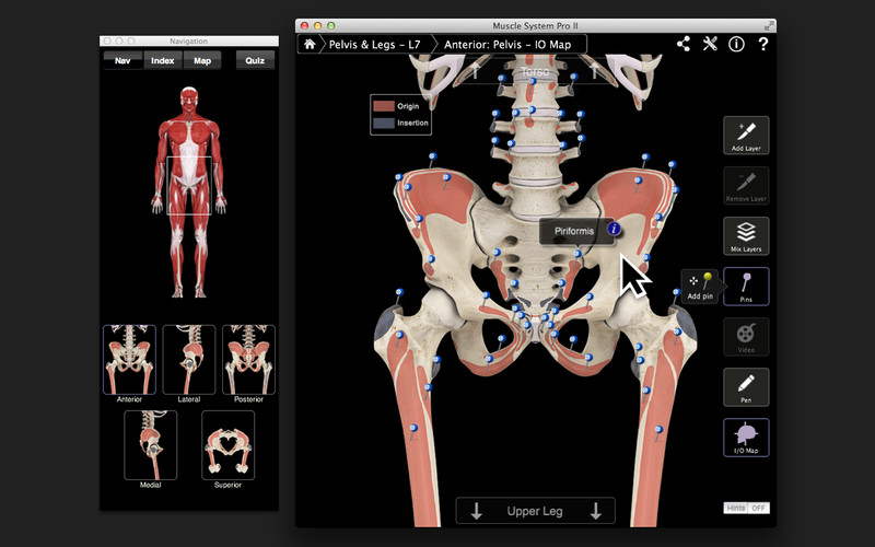 MuscleProII 3.0 : Muscle System Pro III screenshot