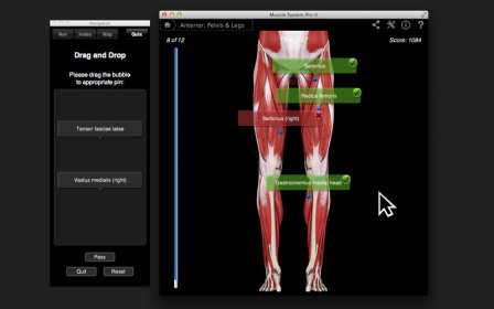Muscle System Pro III screenshot