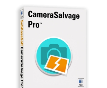 Camera Salvage Pro is designed to recover picture and video files