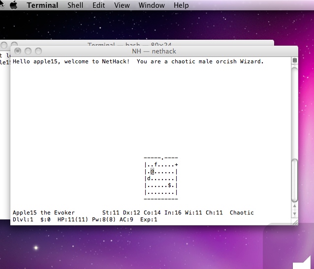 NetHackTerm 3.4 : Main window