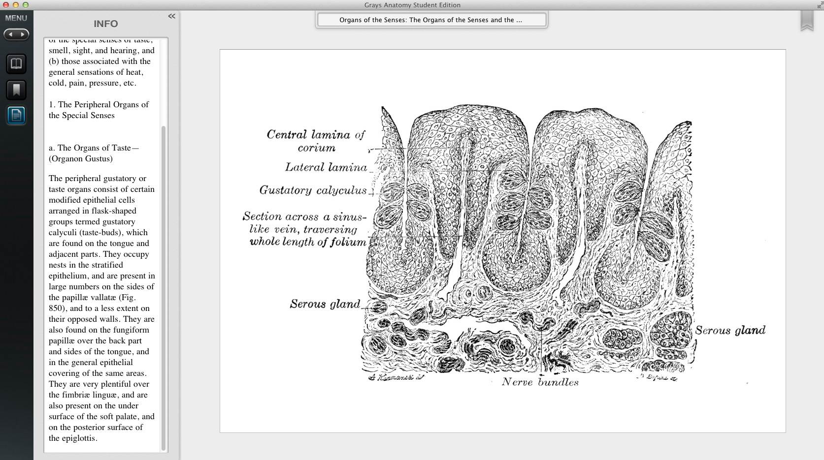 Gray's Anatomy Premium Edition 1.3 : Illustration with text