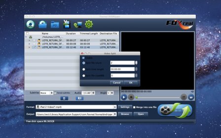 Foxreal DVDRipper screenshot