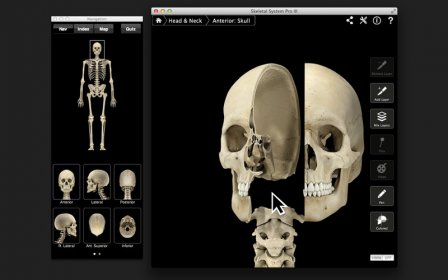 Skeletal System Pro III screenshot