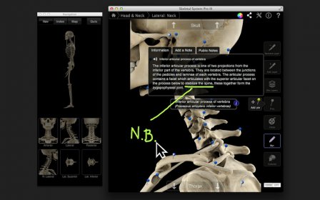 Skeletal System Pro III screenshot