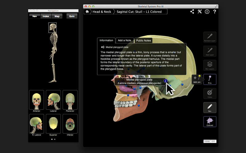 SkeletalProII 3.0 : Skeletal System Pro III screenshot
