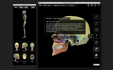 Skeletal System Pro III screenshot