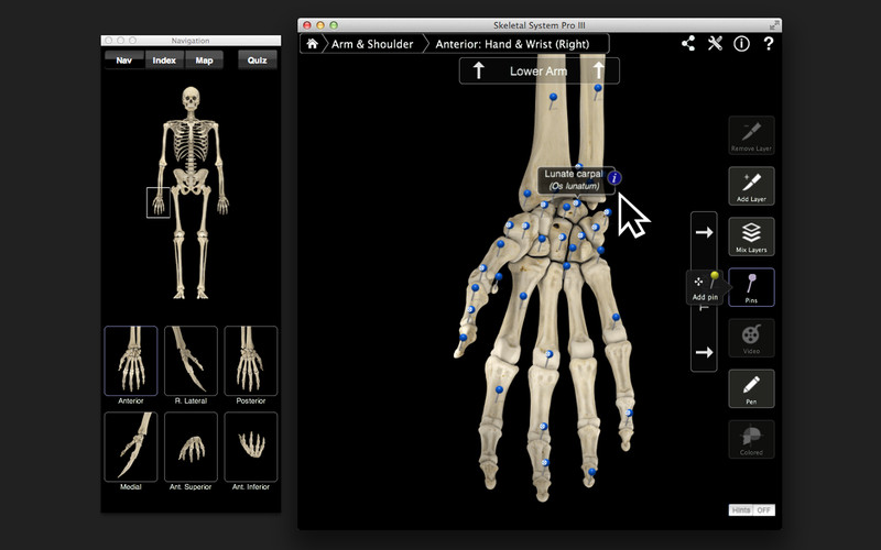 SkeletalProII 3.0 : Skeletal System Pro III screenshot